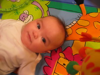 Canon PowerShot G3, 2004:01:18 20:38:12 -- 1/13 sec, f/2.0.  No Flash, Compulsory.2272x1704 Off.