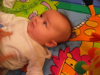 Canon PowerShot G3, 2004:01:18 20:38:16 -- 1/15 sec, f/2.0.  No Flash, Compulsory.2272x1704 Off.