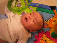 Canon PowerShot G3, 2004:01:18 20:41:48 -- 1/20 sec, f/2.2.  No Flash, Compulsory.2272x1704 Off.