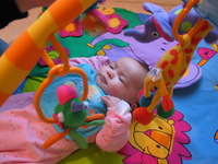 Canon PowerShot G3, 2003:12:31 09:45:28 -- 1/10 sec, f/2.0.  No Flash, Compulsory.2272x1704 Off.