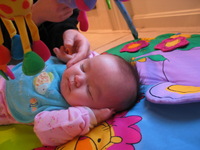 Canon PowerShot G3, 2003:12:31 09:46:02 -- 1/10 sec, f/2.0.  No Flash, Compulsory.2272x1704 Off.