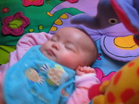 Canon PowerShot G3, 2003:12:31 09:46:24 -- 1/13 sec, f/2.0.  No Flash, Compulsory.2272x1704 Off.