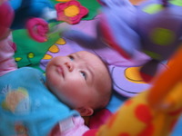 Canon PowerShot G3, 2003:12:31 09:46:47 -- 1/10 sec, f/2.0.  No Flash, Compulsory.2272x1704 Off.