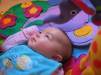 Canon PowerShot G3, 2003:12:31 09:46:54 -- 1/10 sec, f/2.0.  No Flash, Compulsory.2272x1704 Off.