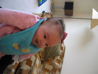 Canon PowerShot G3, 2003:12:31 11:24:14 -- 1/25 sec, f/2.0.  No Flash, Compulsory.2272x1704 Off.