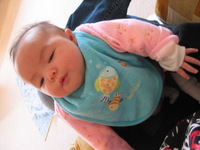 Canon PowerShot G3, 2003:12:31 11:31:33 -- 1/8 sec, f/2.0.  No Flash, Compulsory.2272x1704 Off.