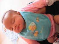 Canon PowerShot G3, 2003:12:31 11:32:20 -- 1/10 sec, f/2.0.  No Flash, Compulsory.2272x1704 Off.