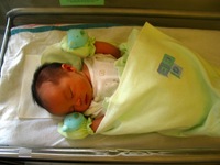 Canon PowerShot G3, 2003:10:24 15:21:02 -- 1/25 sec, f/2.0.  No Flash, Compulsory.2272x1704 Off.