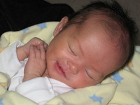 Canon PowerShot S400, 2003:11:08 13:14:16 -- 1/60 sec, f/4.9.  Flash, Auto, Red-Eye Reduce.2272x1704 