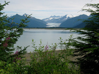 Canon PowerShot G3, 2003:07:31 15:10:42 -- 1/320 sec, f/8.0.  No Flash, Compulsory.2272x1704 Off.