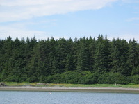 Canon PowerShot G3, 2003:07:31 16:28:13 -- 1/500 sec, f/5.0.  No Flash, Compulsory.2272x1704 Off.