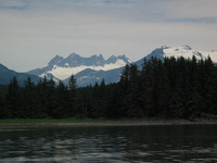 Canon PowerShot G3, 2003:07:31 16:42:05 -- 1/1000 sec, f/8.0.  No Flash, Compulsory.2272x1704 Off.