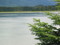 Canon PowerShot G3, 2003:07:31 17:31:32 -- 1/250 sec, f/8.0.  Flash, Compulsory, Red-Eye Reduce.2272x1704 Red-Eye Reduction (On).