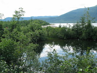 Canon PowerShot G3, 2003:07:31 20:25:27 -- 1/400 sec, f/4.0.  No Flash, Auto.2272x1704 Red-Eye Reduction (Auto).