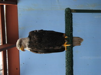 Canon PowerShot G3, 2003:07:31 21:31:41 -- 1/60 sec, f/2.5.  Flash, Auto, Red-Eye Reduce.2272x1704 Red-Eye Reduction (Auto).