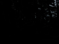 Canon PowerShot G3, 2003:07:31 21:50:19 -- 1/320 sec, f/8.0.  No Flash, Compulsory.2272x1704 Off.