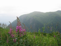 Canon PowerShot G3, 2003:07:31 22:08:20 -- 1/125 sec, f/4.0.  No Flash, Compulsory.2272x1704 Off.