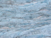 Canon PowerShot G3, 2003:08:01 12:03:40 -- 1/60 sec, f/8.0.  No Flash, Compulsory.2272x1704 Off.