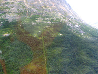 Canon PowerShot G3, 2003:08:01 12:11:19 -- 1/50 sec, f/3.5.  No Flash, Auto.2272x1704 Red-Eye Reduction (Auto).