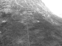 Canon PowerShot G3, 2003:08:01 12:11:19 -- 1/50 sec, f/3.5.  No Flash, Auto.2272x1704 Red-Eye Reduction (Auto).