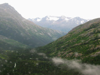 Canon PowerShot G3, 2003:08:01 12:11:30 -- 1/60 sec, f/4.0.  No Flash, Auto.2272x1704 Red-Eye Reduction (Auto).