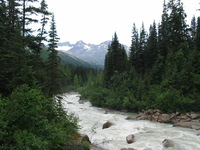 Canon PowerShot G3, 2003:08:01 13:07:33 -- 1/160 sec, f/4.0.  No Flash, Auto.2272x1704 Red-Eye Reduction (Auto).