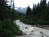 Canon PowerShot G3, 2003:08:01 13:07:40 -- 1/60 sec, f/8.0.  No Flash, Compulsory.2272x1704 Off.