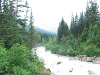 Canon PowerShot G3, 2003:08:01 13:08:11 -- 1/40 sec, f/4.5.  No Flash, Compulsory.2272x1704 Off.