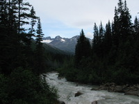 Canon PowerShot G3, 2003:08:01 13:08:28 -- 1/125 sec, f/8.0.  No Flash, Compulsory.2272x1704 Off.