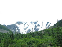 Canon PowerShot G3, 2003:08:01 13:56:11 -- 1/50 sec, f/8.0.  No Flash, Compulsory.2272x1704 Off.