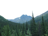 Canon PowerShot G3, 2003:08:01 13:56:16 -- 1/50 sec, f/8.0.  No Flash, Compulsory.2272x1704 Off.