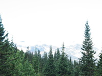 Canon PowerShot G3, 2003:08:01 13:57:04 -- 1/50 sec, f/8.0.  No Flash, Compulsory.2272x1704 Off.