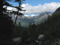 Canon PowerShot G3, 2003:08:01 14:40:03 -- 1/500 sec, f/8.0.  No Flash, Compulsory.2272x1704 Off.