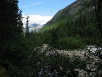 Canon PowerShot G3, 2003:08:01 14:41:14 -- 1/160 sec, f/8.0.  No Flash, Compulsory.2272x1704 Off.