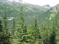 Canon PowerShot G3, 2003:08:01 15:12:42 -- 1/320 sec, f/4.0.  No Flash, Auto.2272x1704 Red-Eye Reduction (Auto).