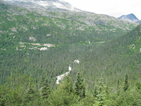 Canon PowerShot G3, 2003:08:01 15:12:47 -- 1/400 sec, f/4.0.  No Flash, Auto.2272x1704 Red-Eye Reduction (Auto).