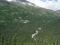 Canon PowerShot G3, 2003:08:01 15:12:56 -- 1/160 sec, f/8.0.  No Flash, Compulsory.2272x1704 Off.