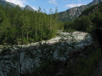 Canon PowerShot G3, 2003:08:01 15:37:43 -- 1/250 sec, f/8.0.  No Flash, Compulsory.2272x1704 Off.