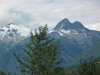 Canon PowerShot G3, 2003:08:01 15:41:19 -- 1/400 sec, f/8.0.  No Flash, Compulsory.2272x1704 Off.