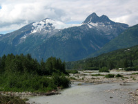 Canon PowerShot G3, 2003:08:01 15:41:29 -- 1/400 sec, f/8.0.  No Flash, Compulsory.2272x1704 Off.