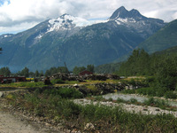 Canon PowerShot G3, 2003:08:01 15:42:10 -- 1/500 sec, f/8.0.  No Flash, Compulsory.2272x1704 Off.