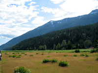 Canon PowerShot G3, 2003:08:01 19:45:50 -- 1/1000 sec, f/4.0.  No Flash, Compulsory.2272x1704 Off.