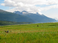 Canon PowerShot G3, 2003:08:01 19:46:40 -- 1/250 sec, f/8.0.  Flash, Compulsory, Red-Eye Reduce.2272x1704 Red-Eye Reduction (On).