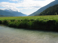 Canon PowerShot G3, 2003:08:01 19:48:45 -- 1/250 sec, f/8.0.  Flash, Compulsory, Red-Eye Reduce.2272x1704 Red-Eye Reduction (On).