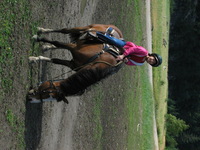 Canon PowerShot G3, 2003:08:01 19:52:14 -- 1/250 sec, f/8.0.  Flash, Compulsory, Red-Eye Reduce.2272x1704 Red-Eye Reduction (On).