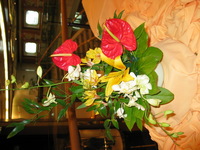 Canon PowerShot G3, 2003:08:03 13:08:19 -- 1/60 sec, f/2.0.  Flash, Compulsory, Red-Eye Reduce.2272x1704 Red-Eye Reduction (On).