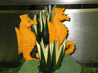 Canon PowerShot G3, 2003:08:03 14:41:48 -- 1/60 sec, f/2.5.  Flash, Compulsory, Red-Eye Reduce.2272x1704 Red-Eye Reduction (On).