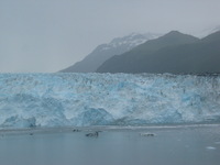 Canon PowerShot G3, 2003:08:03 19:49:23 -- 1/125 sec, f/8.0.  No Flash, Compulsory.2272x1704 Off.