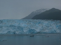 Canon PowerShot G3, 2003:08:03 19:50:01 -- 1/200 sec, f/8.0.  No Flash, Compulsory.2272x1704 Off.