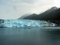 Canon PowerShot G3, 2003:08:03 19:54:29 -- 1/200 sec, f/8.0.  No Flash, Compulsory.2272x1704 Off.